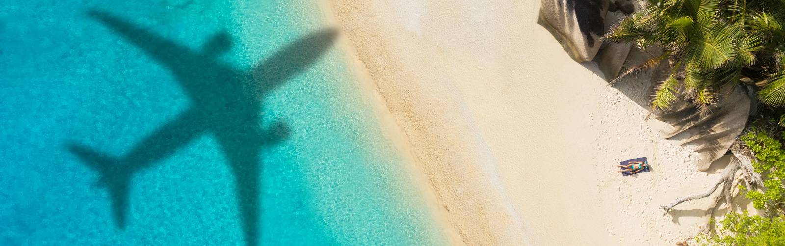 Shadow of plane flying over beach